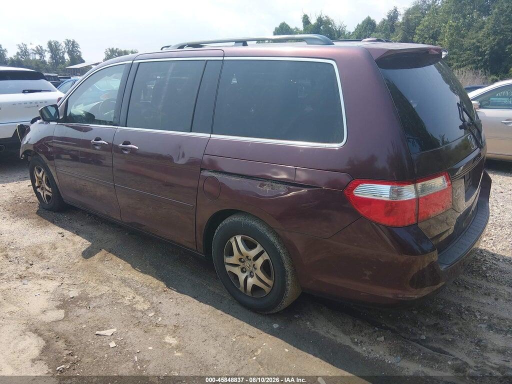 5FNRL38717B405572 2007 HONDA ODYSSEY photo no. 3