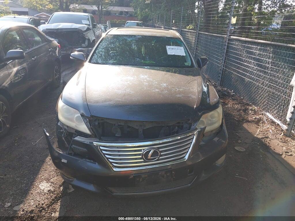 JTHCL5EF5A5005695 2010 LEXUS LS 460 photo no. 12