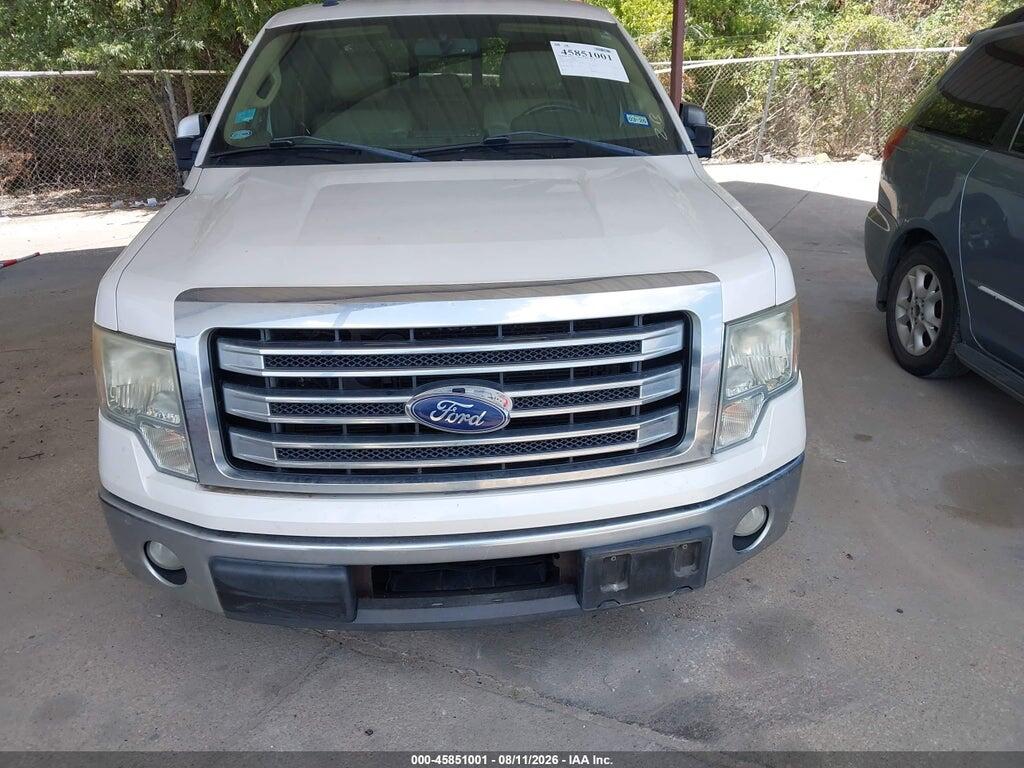 1FTFW1CT5DKD41019 2013 FORD F-150 photo no. 12