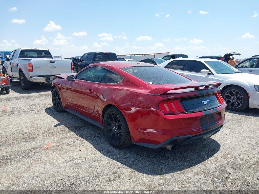 1FA6P8TH5K5189519 2019 FORD MUSTANG photo no. 3
