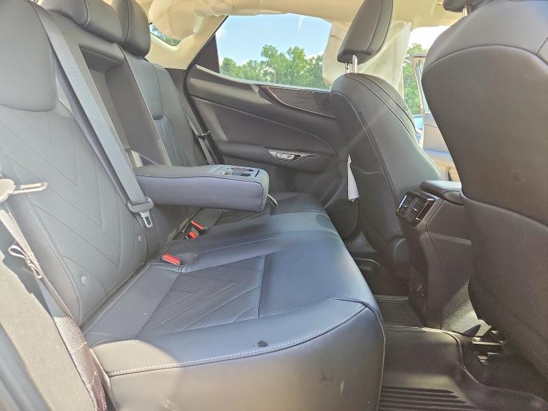 2023 LEXUS NX 350 — Фото 11 из 13