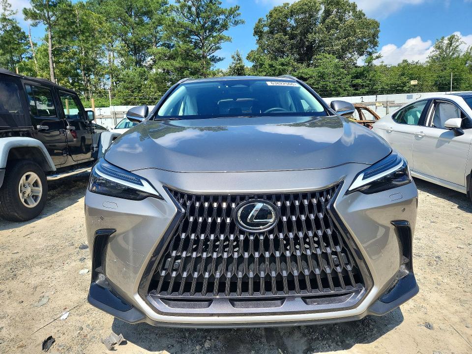 2023 LEXUS NX 350 — Фото 5 из 13