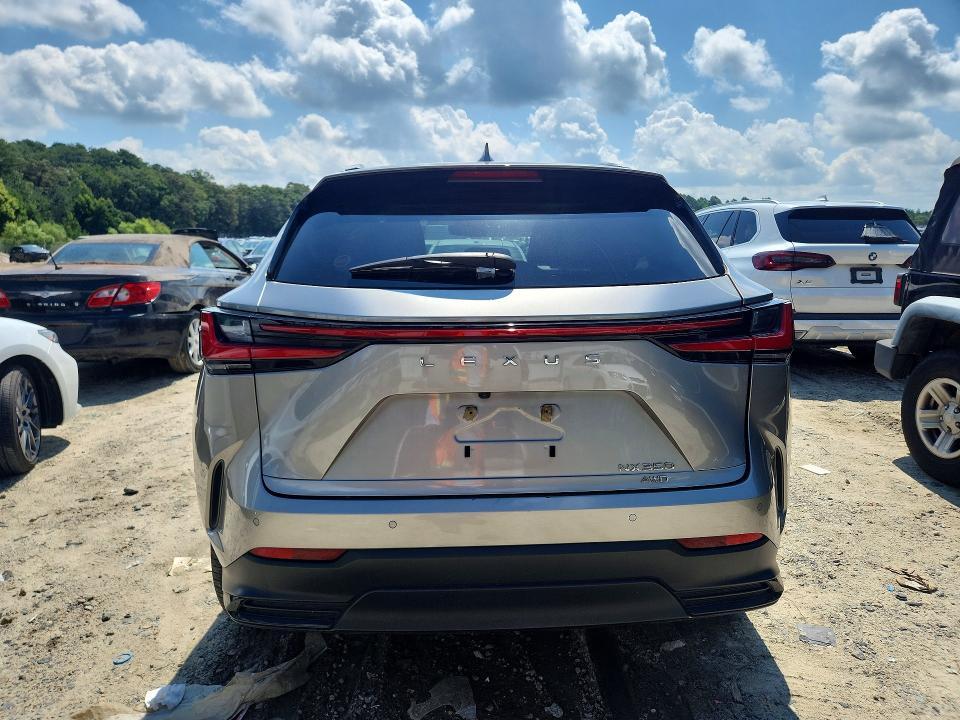 2023 LEXUS NX 350 — Фото 6 из 13