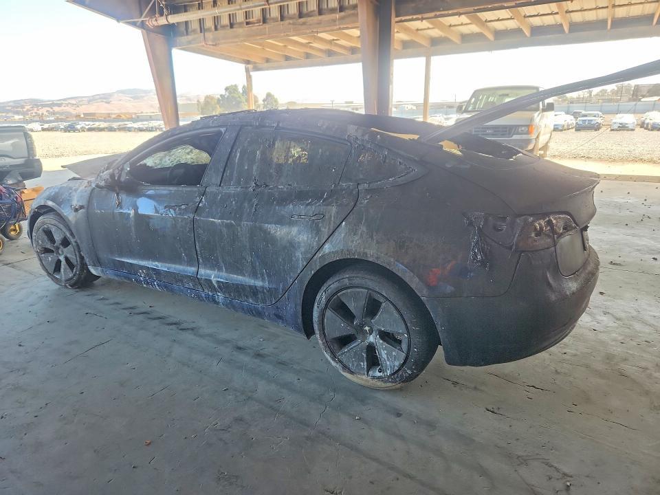 5YJ3E1EB1PF713516 2023 TESLA MODEL 3 photo no. 2