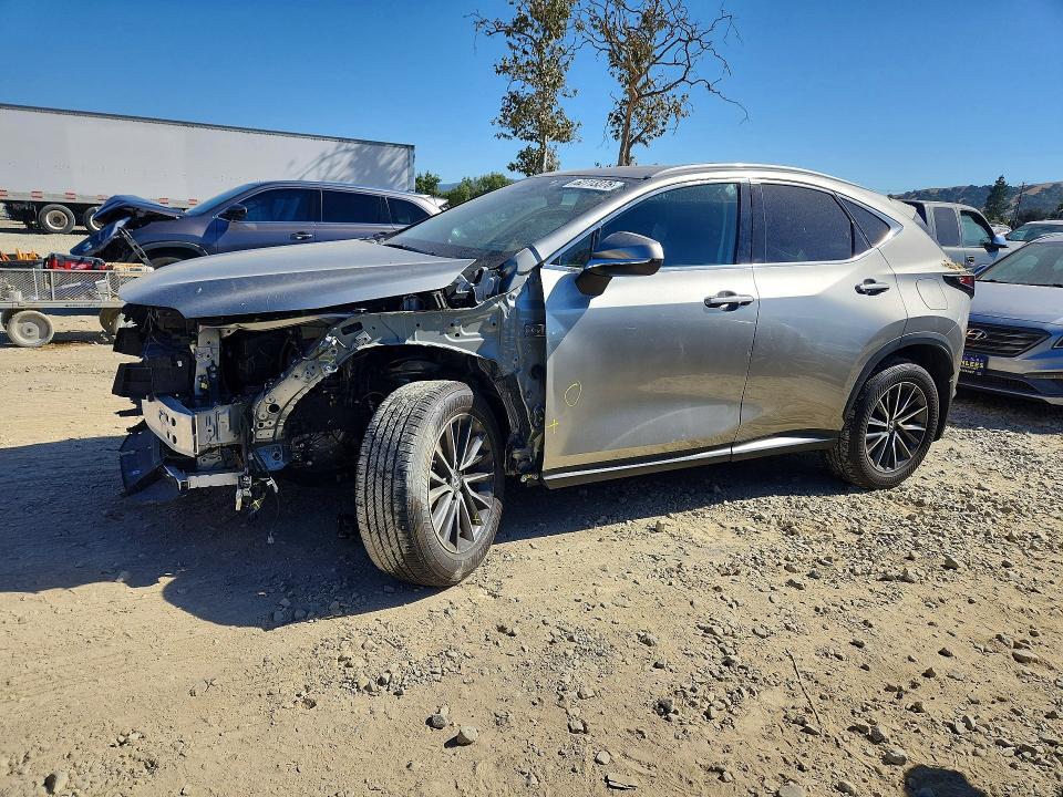 2024 LEXUS NX 250 2T2ADCAZ1RC012342