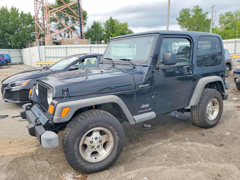2003 JEEP WRANGLER / TJ 1J4FA49S23P365370