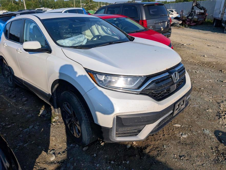 2020 HONDA CR-V LX — Фото 4 из 12