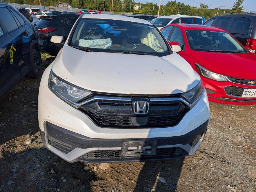 2020 HONDA CR-V LX — Фото 5 из 12