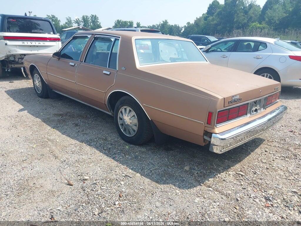 1G1BL51E7KA158073 1989 CHEVROLET CAPRICE photo no. 3