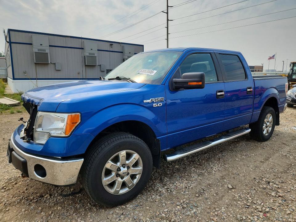 1FTFW1EF0DKE17768 2013 FORD F150 photo no. 1
