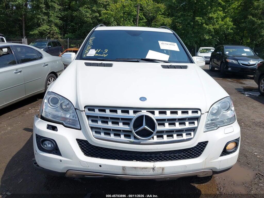 4JGBB8GBXAA562231 2010 MERCEDES-BENZ ML 350 photo no. 10