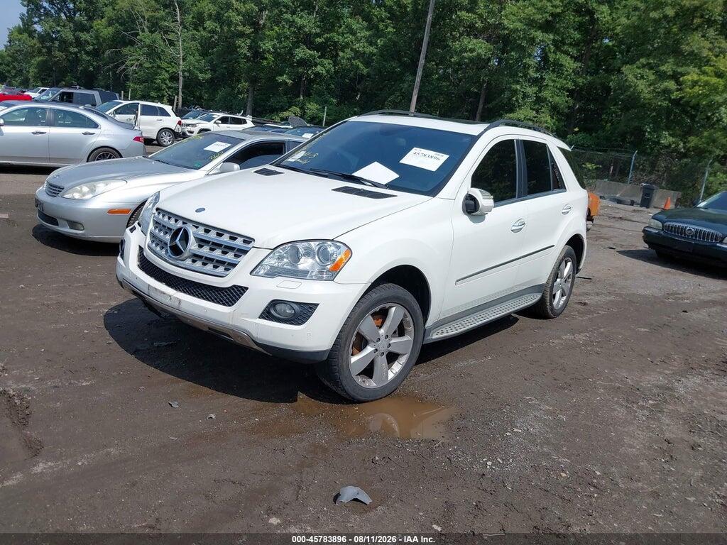 4JGBB8GBXAA562231 2010 MERCEDES-BENZ ML 350 photo no. 2