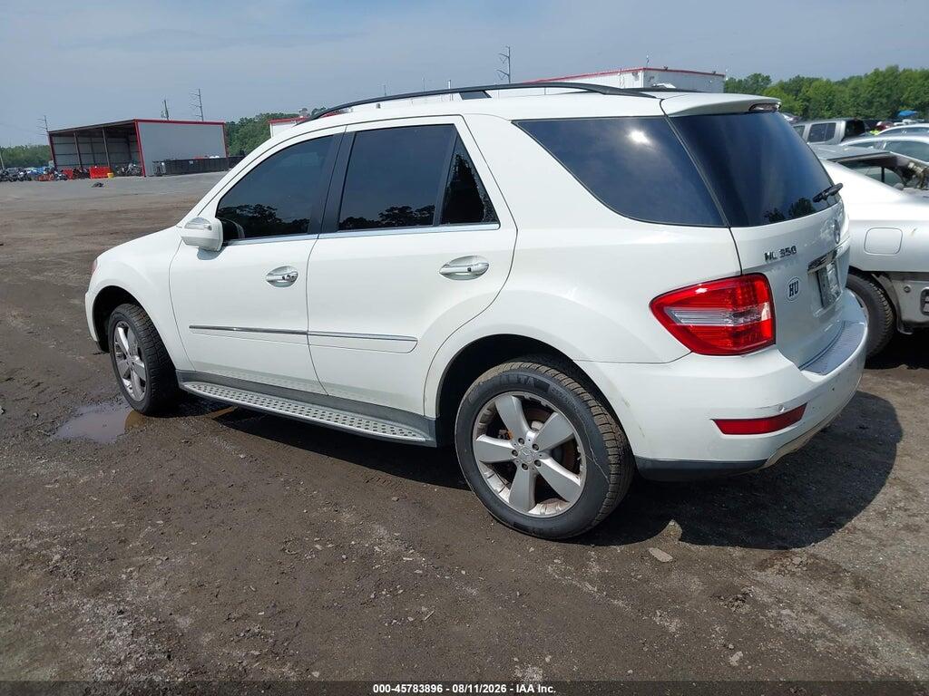 4JGBB8GBXAA562231 2010 MERCEDES-BENZ ML 350 photo no. 3