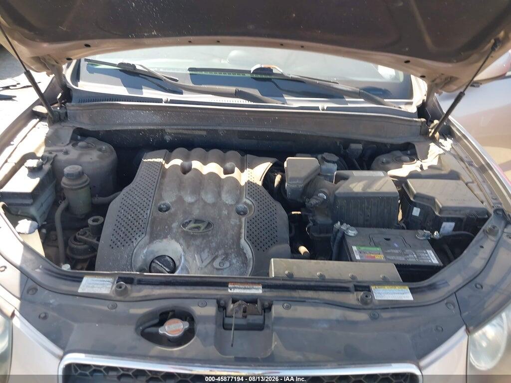5NMSG13D67H060965 2007 HYUNDAI SANTA FE photo no. 10