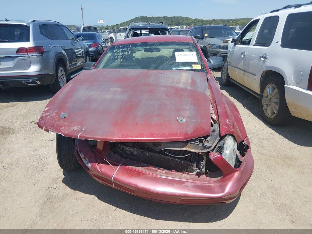 1ZVHT80N495106677 2009 FORD MUSTANG photo no. 12
