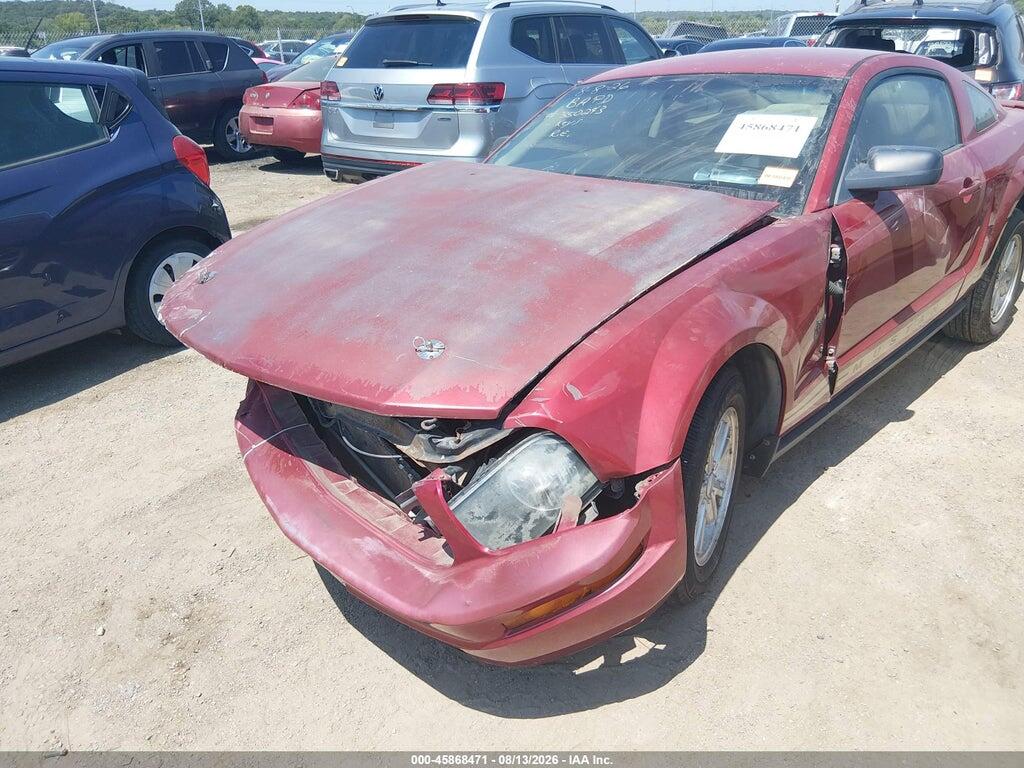 1ZVHT80N495106677 2009 FORD MUSTANG photo no. 6