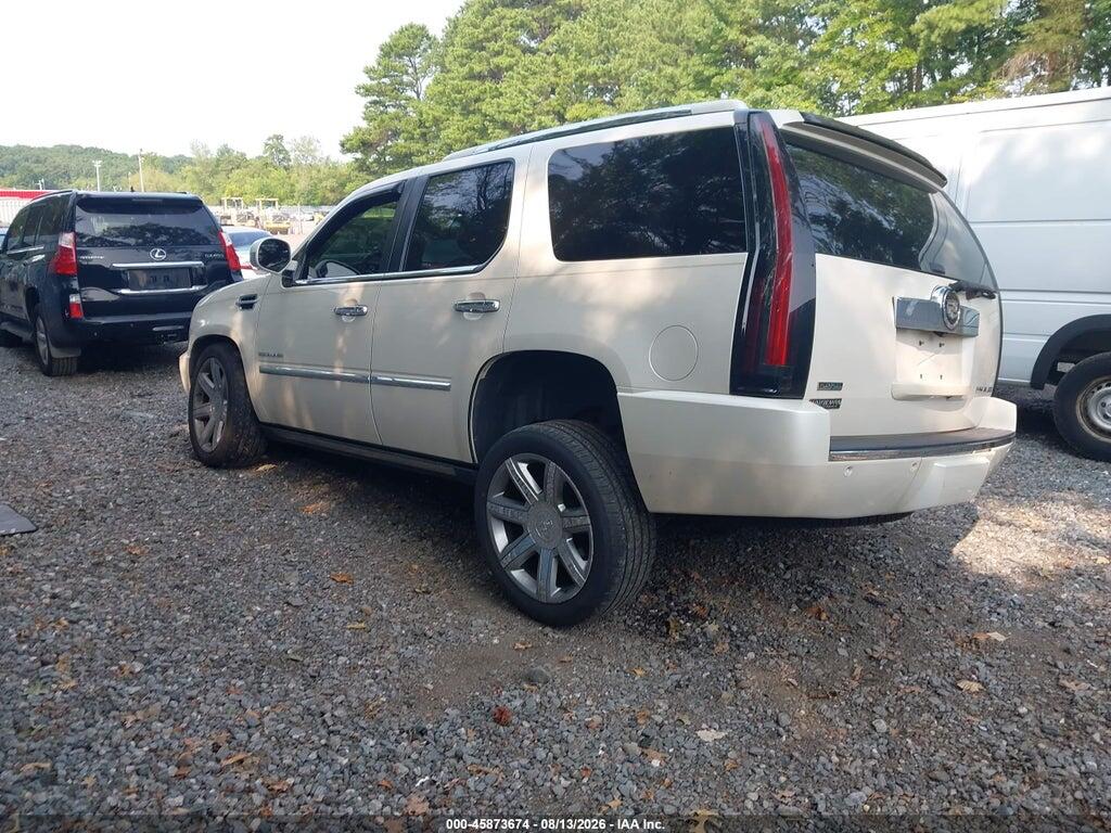 1GYUKCEF7AR256377 2010 CADILLAC ESCALADE photo no. 3