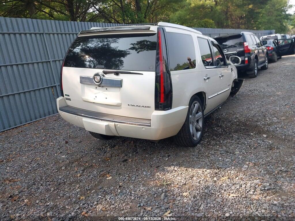 1GYUKCEF7AR256377 2010 CADILLAC ESCALADE photo no. 4