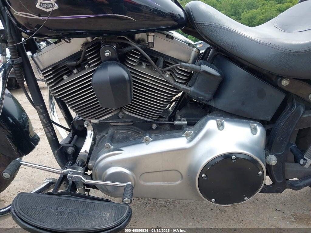 1HD1JN510AB046352 2010 HARLEY-DAVIDSON FLSTFB photo no. 9