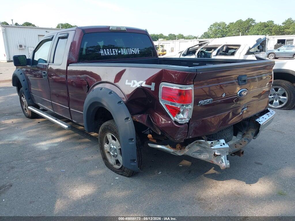 1FTEX1E84AFA90418 2010 FORD F-150 photo no. 3