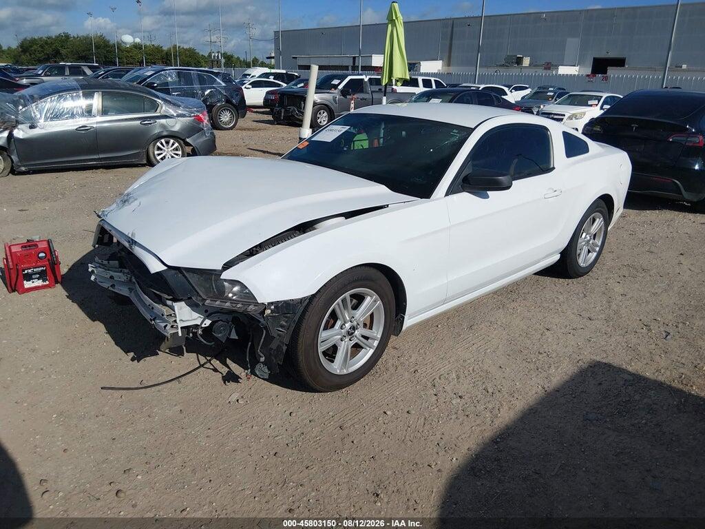 1ZVBP8AM4E5224142 2014 FORD MUSTANG photo no. 2