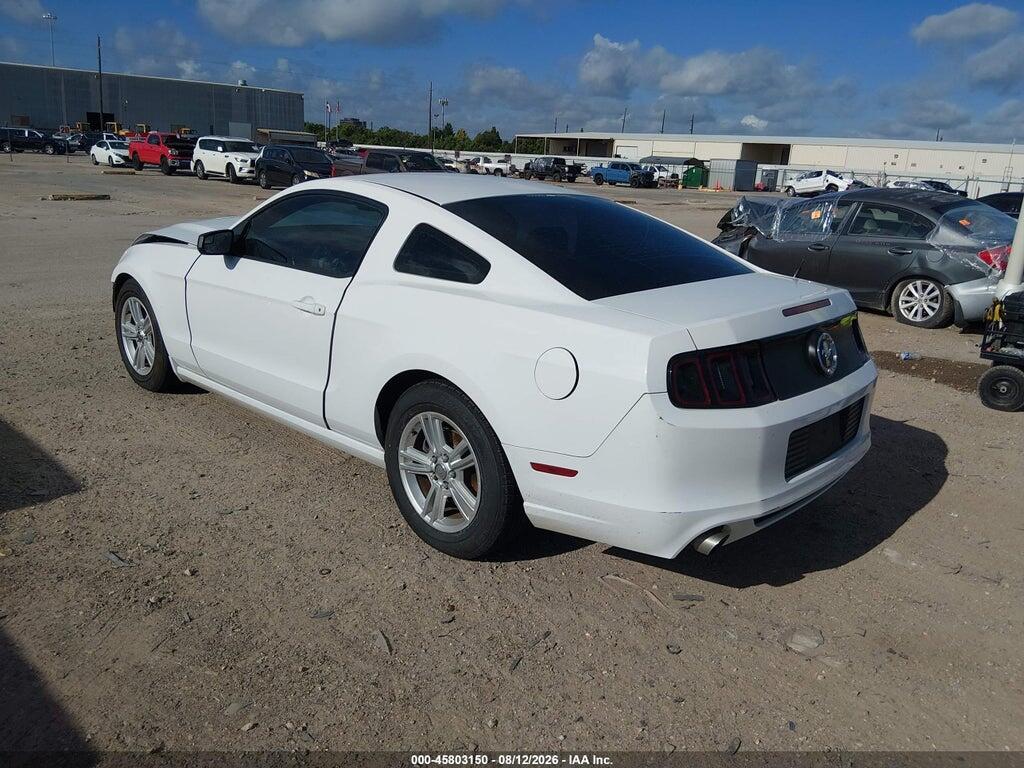 1ZVBP8AM4E5224142 2014 FORD MUSTANG photo no. 3