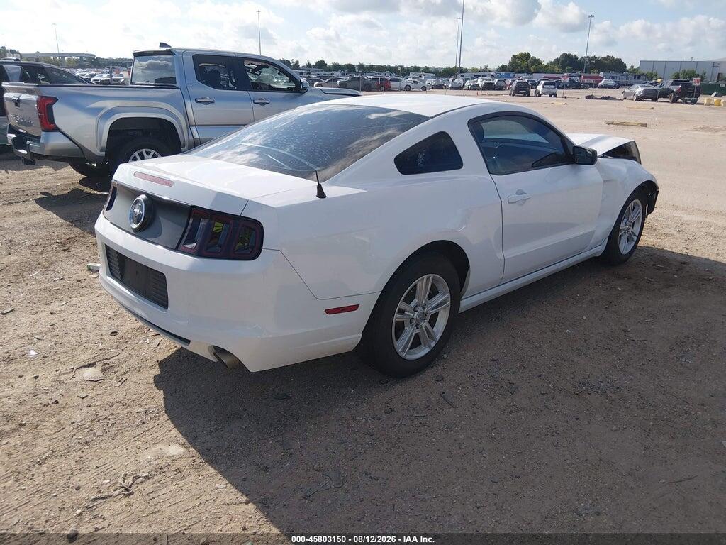 1ZVBP8AM4E5224142 2014 FORD MUSTANG photo no. 4