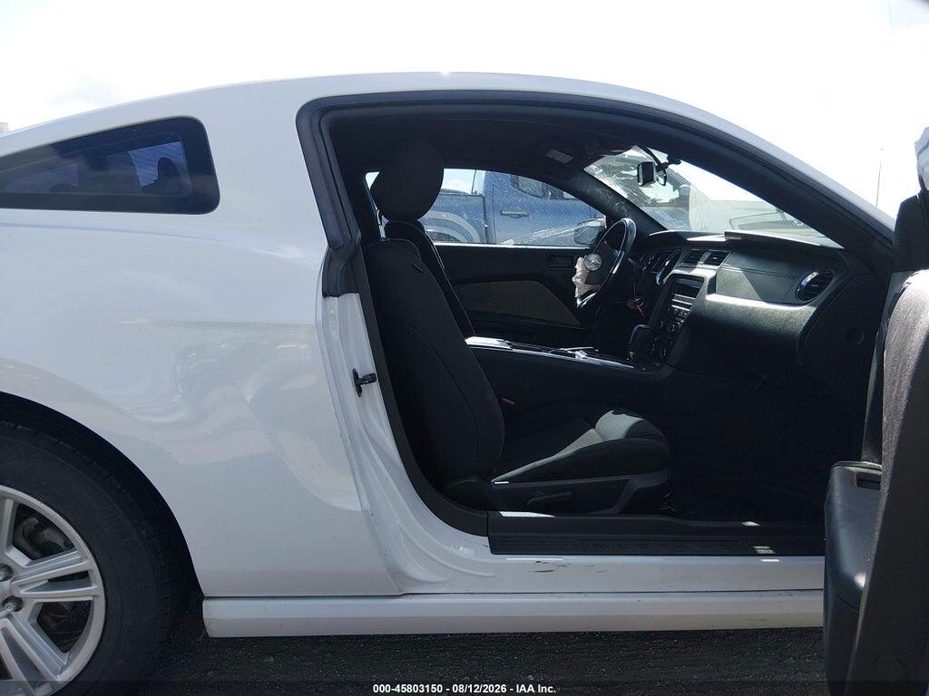 1ZVBP8AM4E5224142 2014 FORD MUSTANG photo no. 5