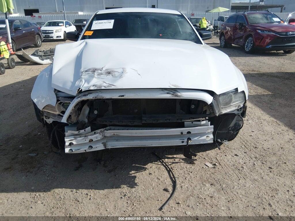 1ZVBP8AM4E5224142 2014 FORD MUSTANG photo no. 6
