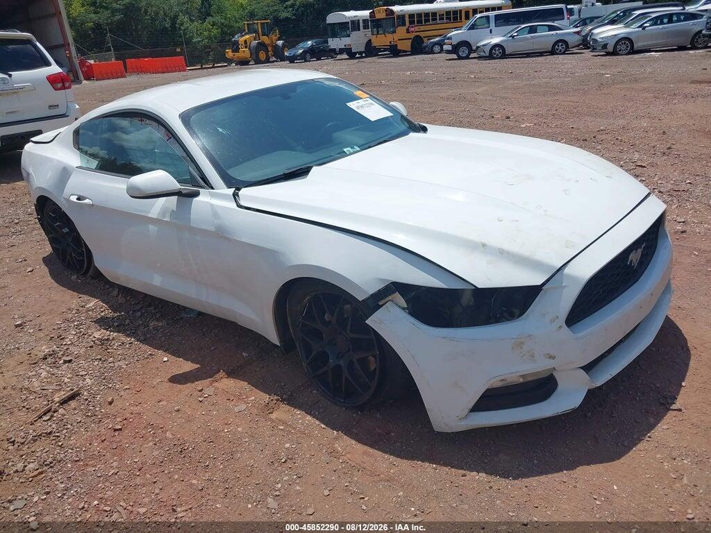 1FA6P8AM6H5280596 2017 FORD MUSTANG photo no. 1