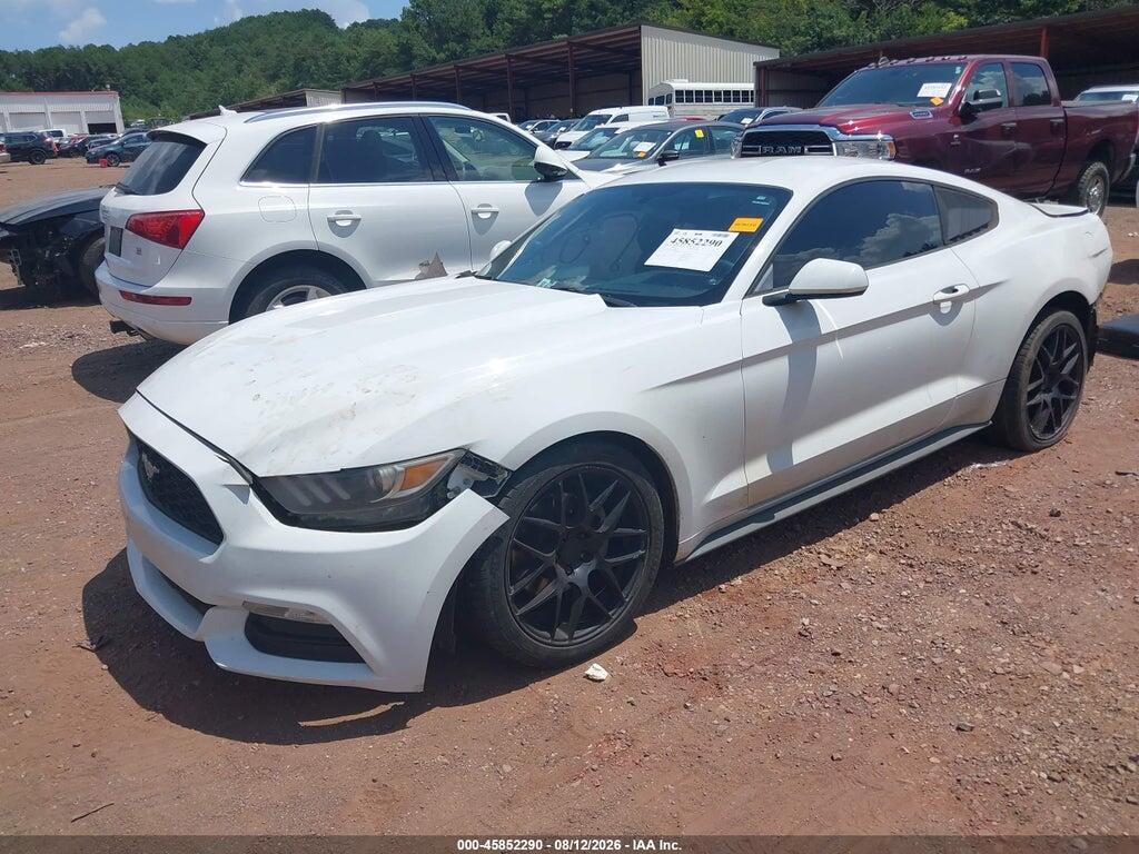 1FA6P8AM6H5280596 2017 FORD MUSTANG photo no. 2