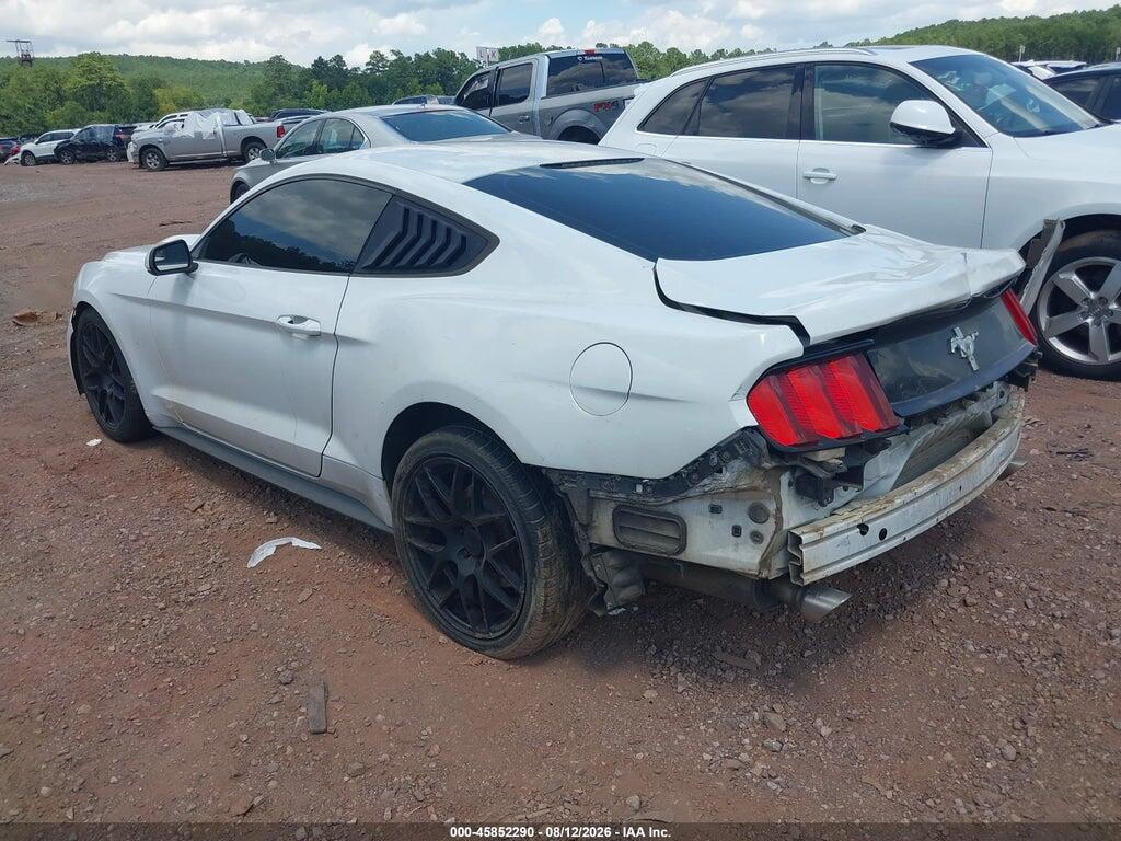 1FA6P8AM6H5280596 2017 FORD MUSTANG photo no. 3