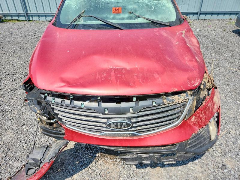 2011 KIA SPORTAGE EX — Фото 12 из 13