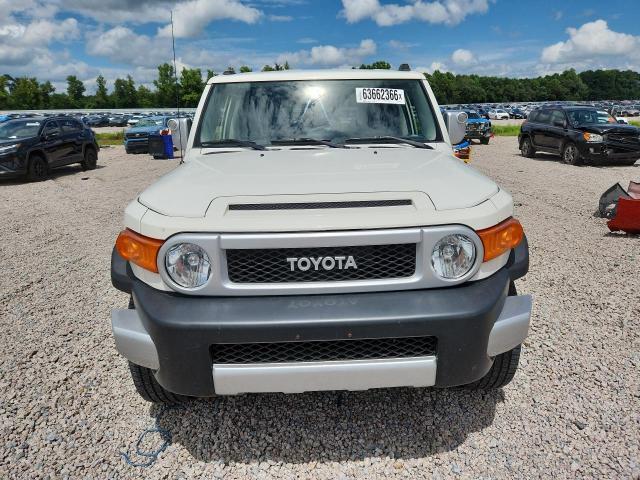 JTEBU4BF6EK189167 2014 TOYOTA FJ CRUISER photo no. 5