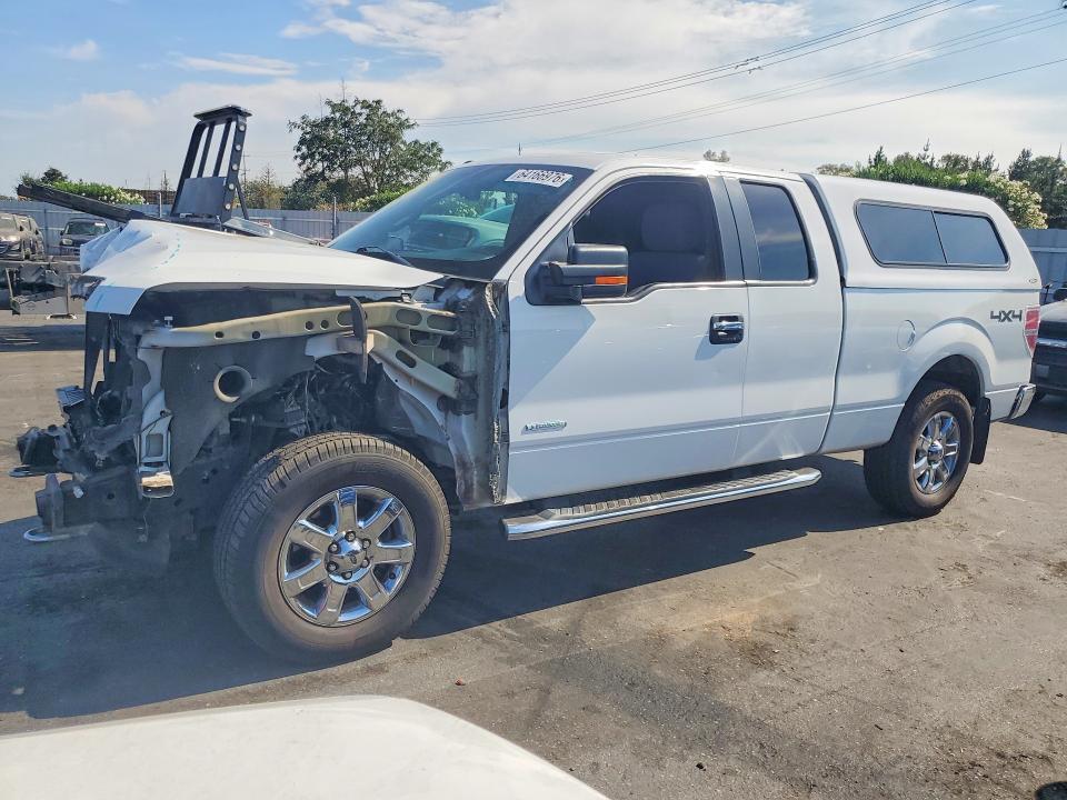2013 FORD F150 1FTFX1ET9DKF97836