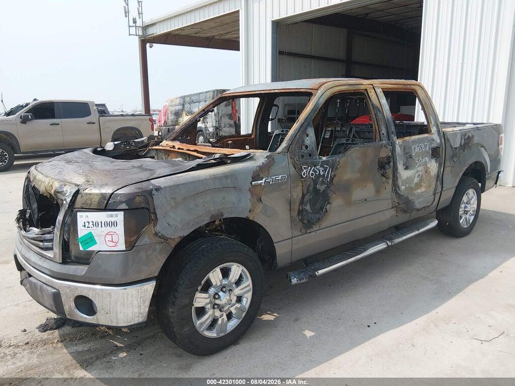 1FTEW1C83AFC56871 2010 FORD F-150 photo no. 6