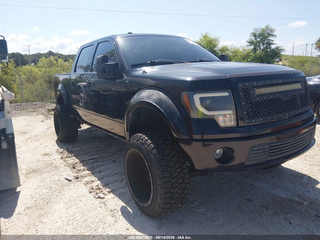 1FTEW1CV6AFB30624 2010 FORD F-150 photo no. 1