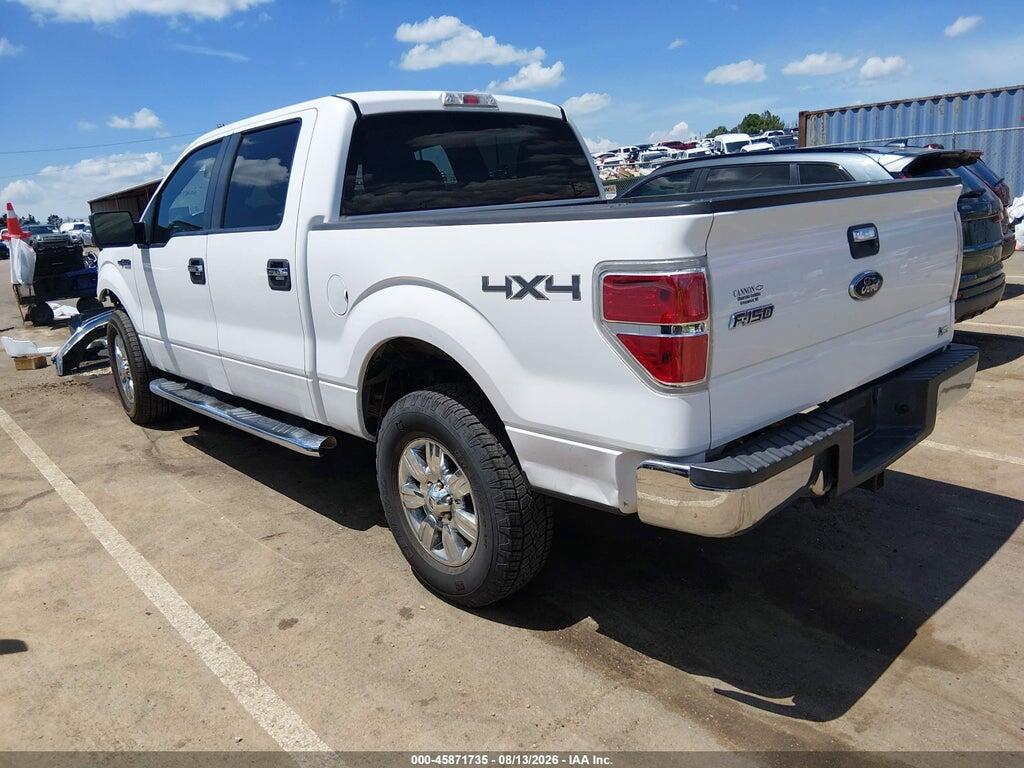 1FTFW1EV3AKC00461 2010 FORD F-150 photo no. 3