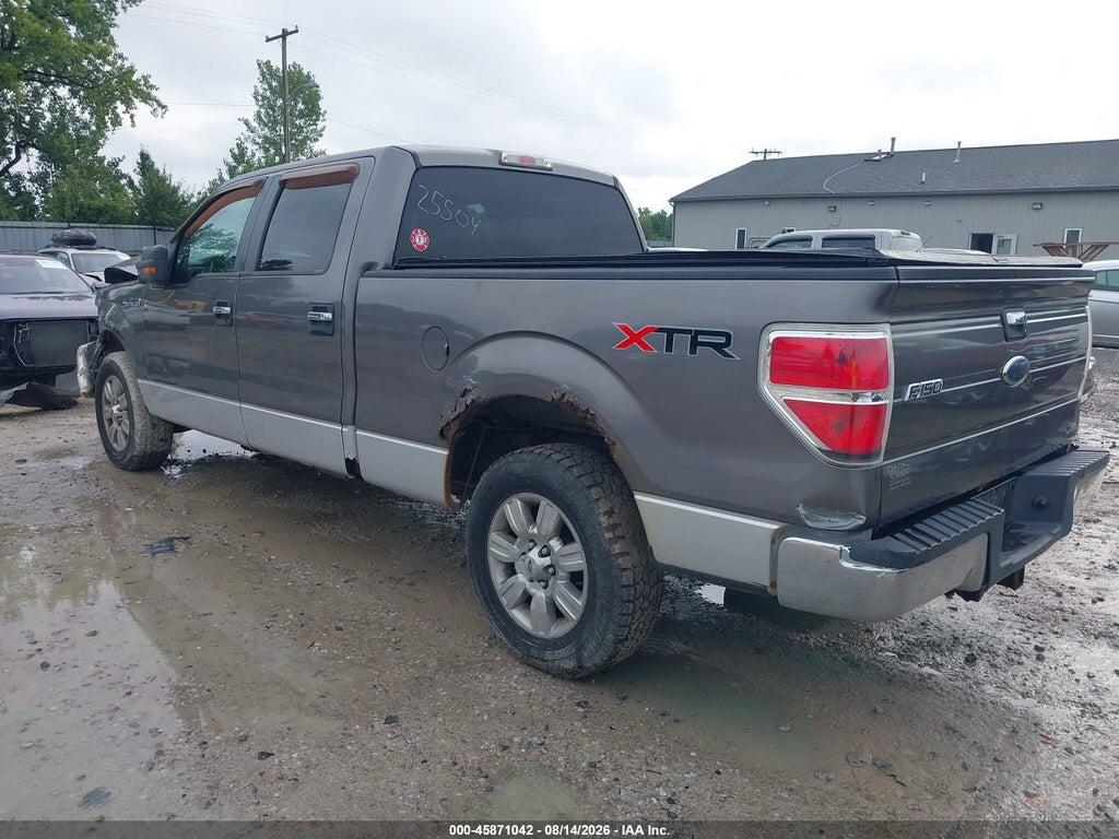 1FTFW1CV5AFC25504 2010 FORD F-150 photo no. 3