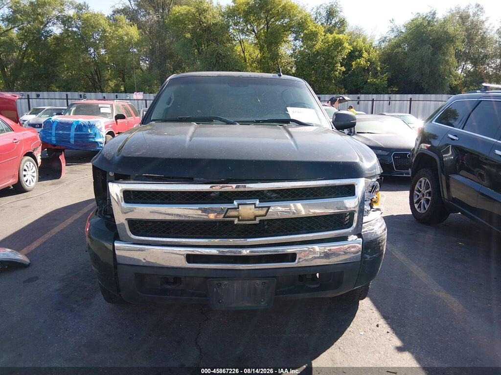 1GCSKREA7AZ108525 2010 CHEVROLET SILVERADO 1500 photo no. 12