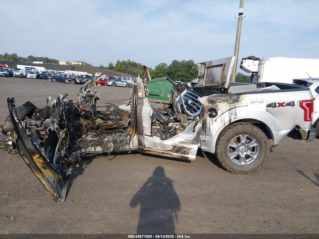 1FTEW1EG1FFB58773 2015 FORD F-150 photo no. 6
