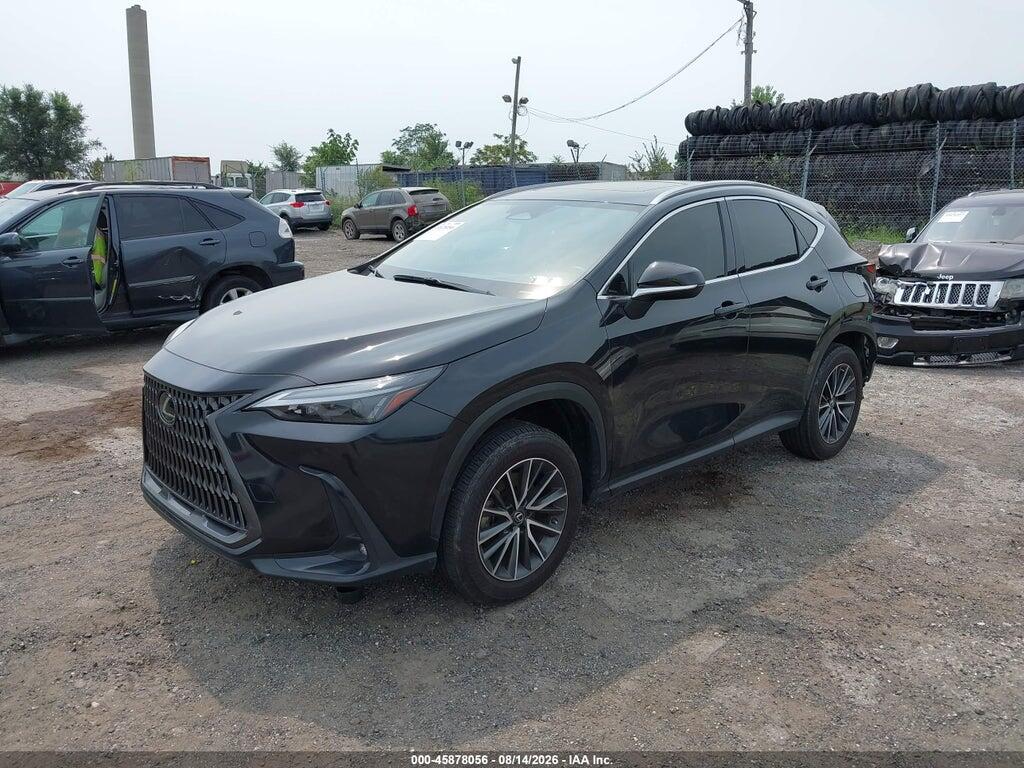 JTJGDCAZ3P5011585 2023 LEXUS NX 250 photo no. 2