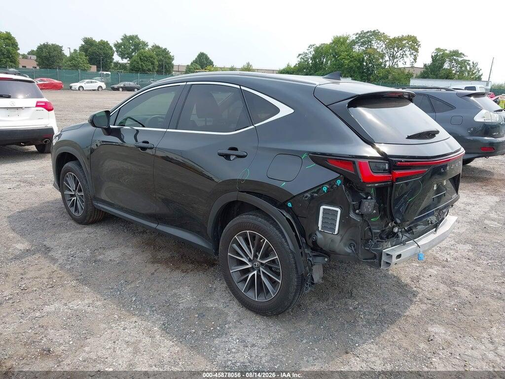 JTJGDCAZ3P5011585 2023 LEXUS NX 250 photo no. 3