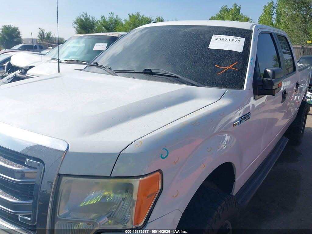1FTFW1EF5DFD70262 2013 FORD F-150 photo no. 6