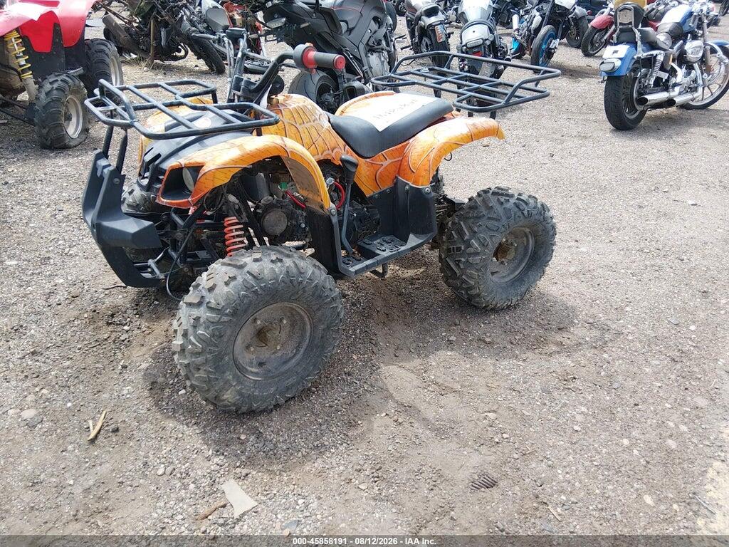 L6ZSCJLA6M1010954 2021 COOLSTER ATV photo no. 2