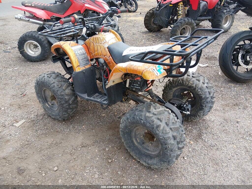 L6ZSCJLA6M1010954 2021 COOLSTER ATV photo no. 3