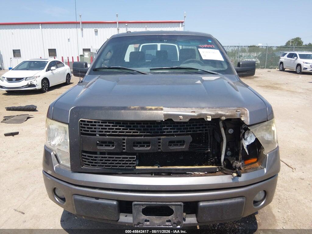 1FTMF1CF1DFA60166 2013 FORD F-150 photo no. 12