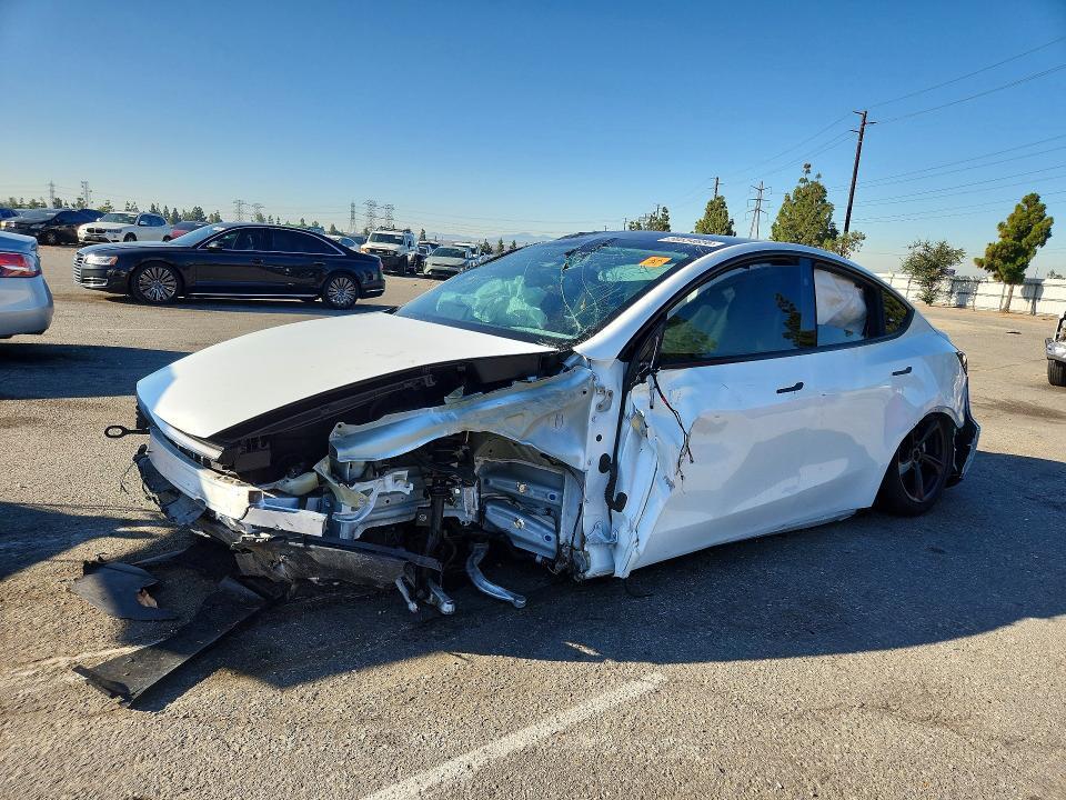7SAYGDEE8TF515668 2026 TESLA MODEL Y photo no. 1