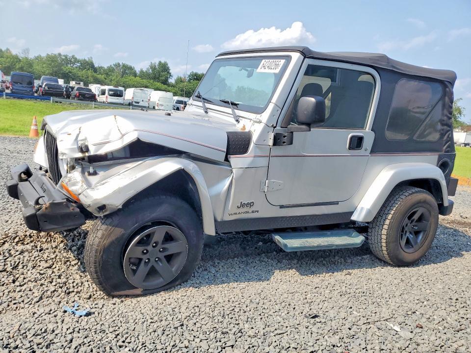 2003 JEEP WRANGLER 1J4FA39S63P363132
