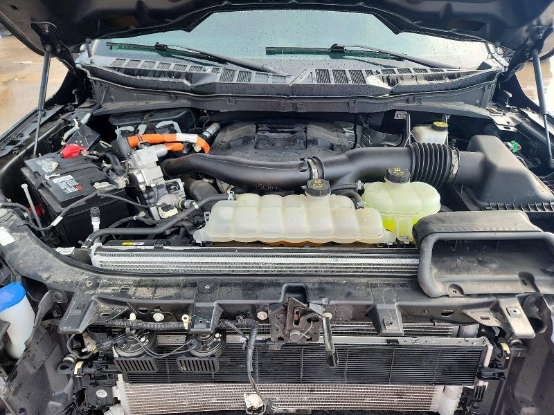 1FTFW1ED7PFB36885 2023 FORD F150 photo no. 11